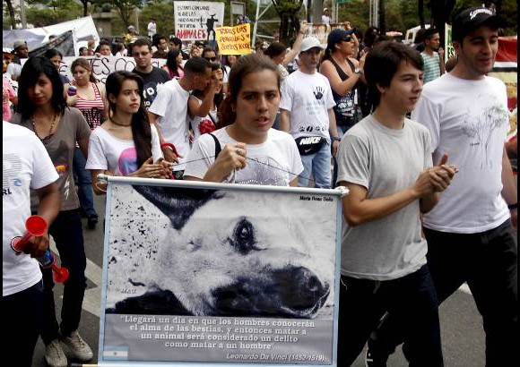 Julio C&#233;sar Herrera - 500 personas marcharon este domingo para protestar contra el maltrato animal.
