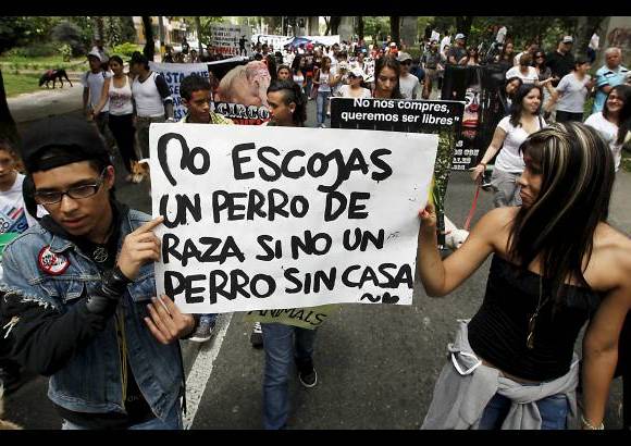 Julio C&#233;sar Herrera - Queda en manos del Congreso legislar para cambiar la Ley 84.