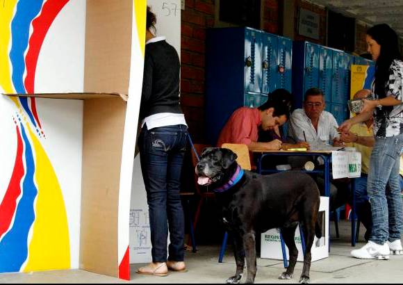 Jaime Pérez - Hasta las mascotas salieron a acompañar a sus amos, en esta sita con el futuro del país.