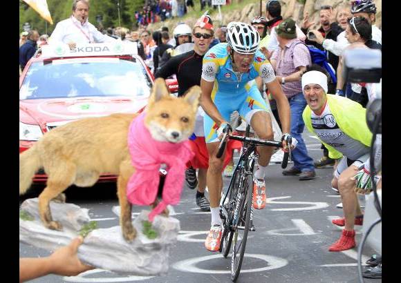 Reuters - Solo hubo batalla al final del Alpe di Pampeago. Mientras Kreuziger, que se estren&#243; en una grande a los 26 a&#241;os, se iba solo a por la victoria, suavizando su fracaso de no luchar por el triunfo final.