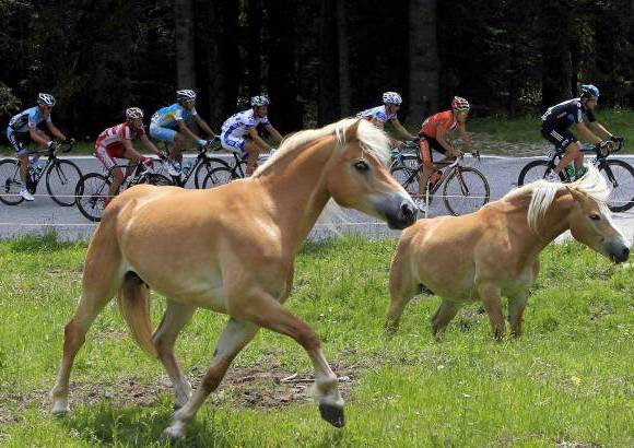Reuters - El Giro de Italia termina el domingo en Mil&#225;n.