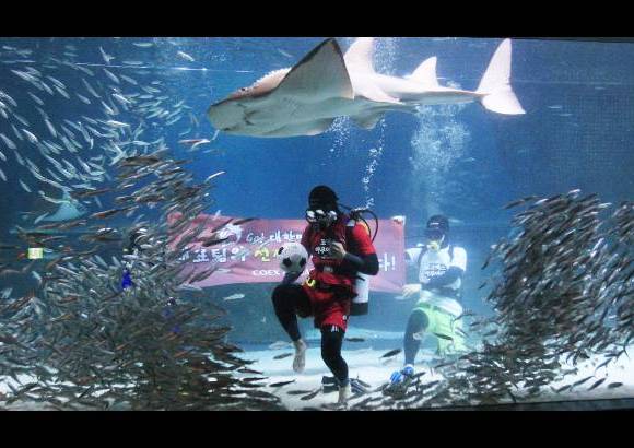 AP - Un buso con uniforme de Corea del Sur juaga al fútbol en medio de un cardumen de sardinas, durante un evento de promoción de la Copa del Mundo en el acuario de COEX en Seúl, Corea del Sur.
