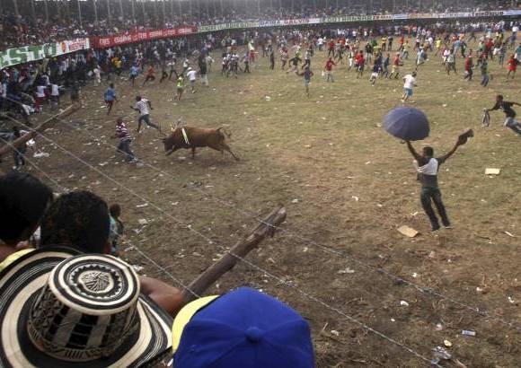 Reuters - La fiesta es amenizada por bandas de trompetas, trombones, clarinetes y redoblantes que tocan porros y fandangos engalanan la fiesta que llega a su cl&#237;max m&#225;ximo cada vez que el toro embiste a uno de los espont&#225;neos que saltan a la arena para dejar en manos del toro y de la suerte sus vidas.
