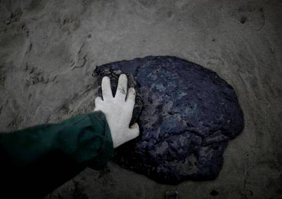 AP - La marea negra ya lleg&#243; a la playa de Mt Maunganui, al igual que en la isla Matakana, as&#237; como al puerto de Tauranga, en la Isla Norte.
