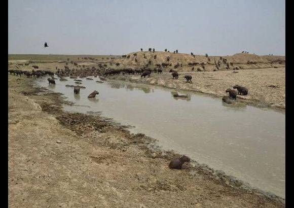 Foto: Heidy Puerta - Así mismo, la construcción de obras, como las propuestas de forma preliminar para el mediano plazo, que consisten en la perforación pozos profundos, con equipos de bombeo para abastecer los ecosistemas.