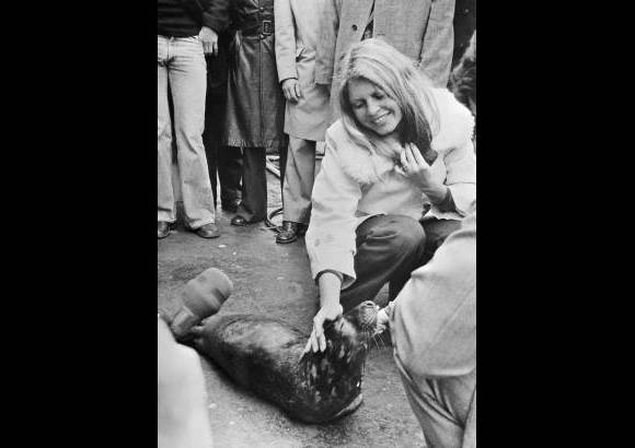 AFP - Foto tomada el 8 de abril de 1976. La actriz francesa, que dej&#243; el cine en 1933 para dedicarse a la causa animal, acaricia una cr&#237;a de foca en fecamp, el norte de Francia.