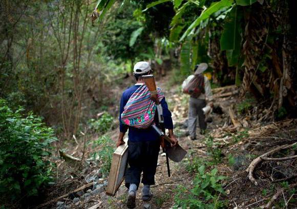 AP - Llegar al lugar es difícil. No hay señal telefónica ni caminos en esta zona suroriental del país conocida como Oreja de Perro, por donde transitan jóvenes quechuas que cargan cocaína en mochilas y también las últimas columnas armadas de Sendero Luminoso.