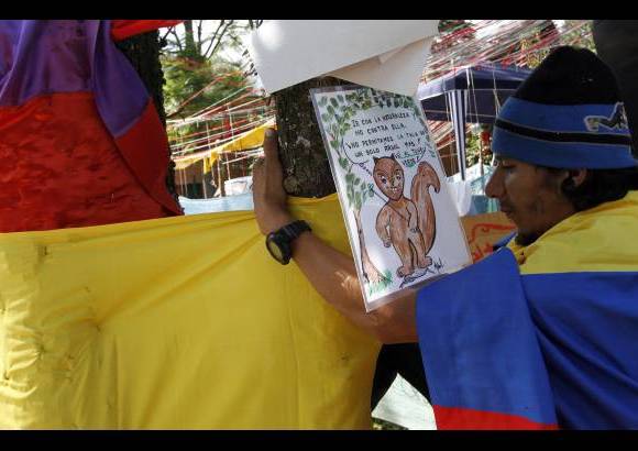Donaldo Zuluaga Velilla - Abrazando los &#225;rboles, integrantes del Comit&#233; Prot&#250;nel Verde demuestran su amor por estos individuos que embellecen la entrada de Envigado.
