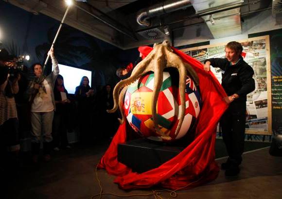 Reuters - El fallecido pulpo Paul, or&#225;culo del Mundial de F&#250;tbol de Sud&#225;frica, cuenta con un monumento de m&#225;s de dos metros de altura en Oberhausen (oeste de Alemania). &quot;Despu&#233;s de su muerte, los fans de todo el mundo deseaban un homenaje&quot;, se&#241;al&#243; el due&#241;o del acuario, Stefan Porwoll, al descubrir la estatua.