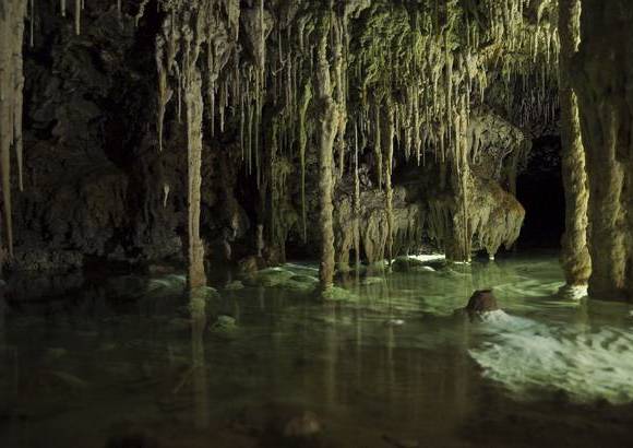 Cortes&#237;a - R&#237;o Secreto fue calificado, por segundo a&#241;o, como la mejor atracci&#243;n verde de M&#233;xico y Centroam&#233;rica en la reciente entrega de los World Travel Awards para las Am&#233;ricas.
