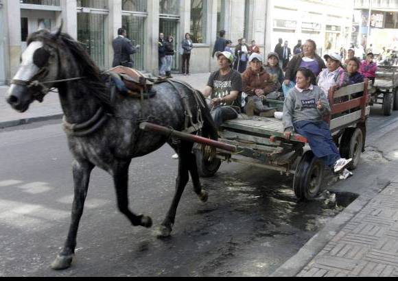 Germ&#225;n Enciso, Colprensa - En la capital de la Rep&#250;blica, con m&#225;s de ocho millones de habitantes, se rompe la escena de la cotidianidad y el agite de las v&#237;as congestionadas con el tr&#225;nsito de los veh&#237;culos de tracci&#243;n animal.