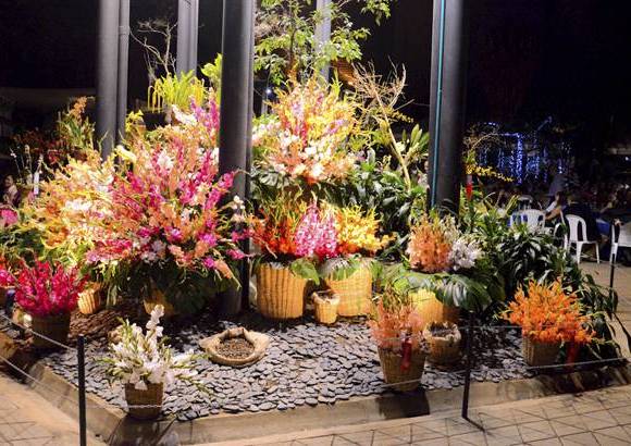 FLA - En el Jardín Botánico de Medellín está la mejor muestra de orquídeas, pájaros y flores que hacen gala de la tradición antioqueña.