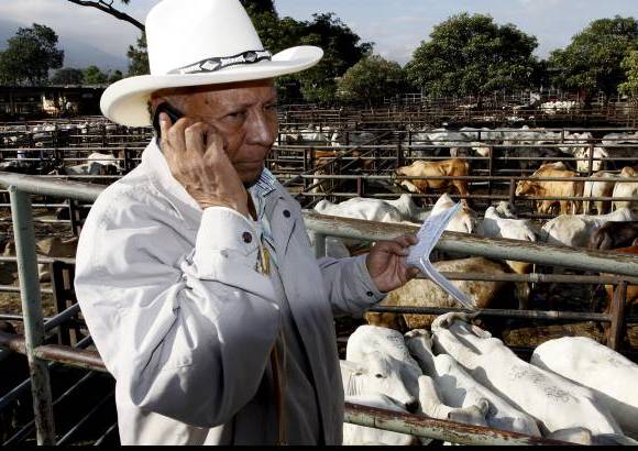 Foto Donaldo Zuluaga - Javier S&#225;nchez es uno de los comisionistas a quienes encargan varios ganaderos la comercializaci&#243;n de sus novillos y reses.