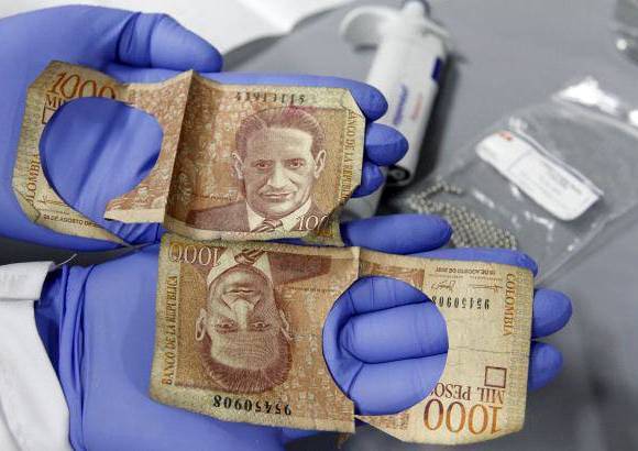Donaldo Zuluaga - Estos fueron los billetes de los cuales se extrajo la muestra secuenciada.