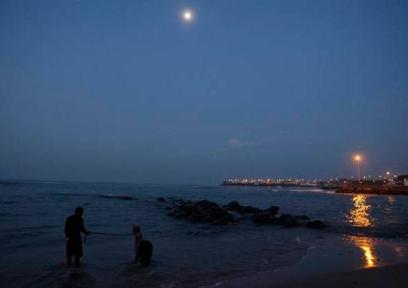 Reuters - Un anochecer en las playas de Lima, Per�. Domingo Pianezzi enfrenta su pasi�n, el mar, al lado de su alpaca.