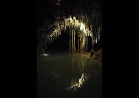 Cortes&#237;a - La principal atracci&#243;n de esta reserva mexicana es una caverna subterr&#225;nea con una milenaria formaci&#243;n geol&#243;gica.