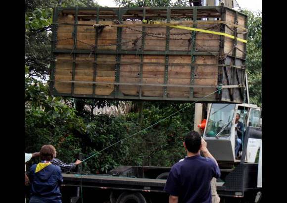 Manuel Saldarriaga - Hubo dos momentos de tensión, cuando Vera intentó moverse ya estando dentro del guacal, la misión inicial se completó con éxito.
