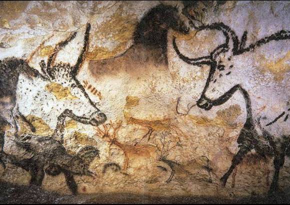 Commons Wikipedia - Hongo de la cueva de Lascaux Francia que amenaza las pinturas rupestres del sitio: Ochrononis lascauxenis.