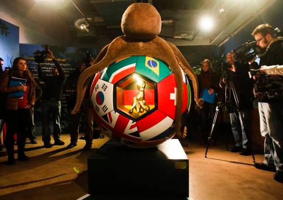 Reuters - Junto al monumento, en una zona protegida del acuario, los visitantes podr&#225;n ver una peque&#241;a exposici&#243;n dedicada al pulpo con numerosos recortes de prensa, regalos llegados de todo el mundo, las cajas originales usadas en sus augurios, as&#237; como una camiseta con aberturas para ocho brazos, es decir, el n&#250;mero de tent&#225;culos de Paul.