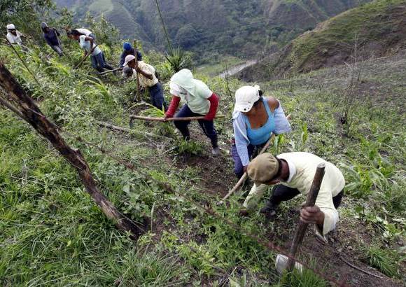 Manuel Saldarriaga - En Torib&#237;o los campesinos anhelan que su tierra vuelva a ser una despensa agr&#237;cola en Cauca y as&#237; superar la historia de violencia que arrastra en los &#250;ltimos a&#241;os como epicentro del conflicto y fort&#237;n de las Farc.