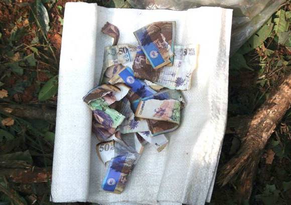 Cortesía- Imágenes sensibles - Dinero en efectivo encontrado en el campamento de alias Mono Jojoy.