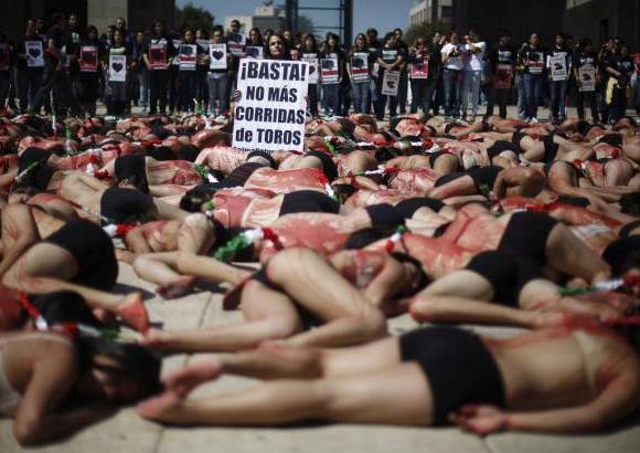 Reuters - arios centenares de activistas convocados por la organizaci&#243;n AnimaNaturalis protestaron en la capital mexicana en contra de las corridas de toros y exigieron la abolici&#243;n de este espect&#225;culo debido a la tortura y sufrimiento a que son sometidos los animales.