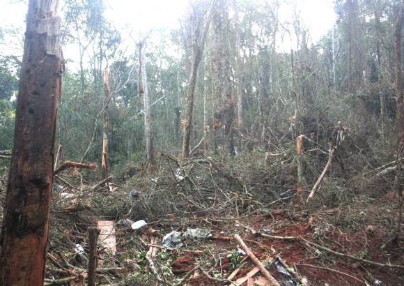 Cortesía- Imágenes sensibles - El campamento estaba camuflado en la espesa selva de La Macarena.