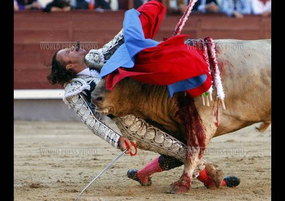 World Press - Gustavo Cuevas, de Espa&#241;a, de la agencia Efe, gan&#243; en la categor&#237;a Deportes, con la cornada del matador Julio Aparicio.