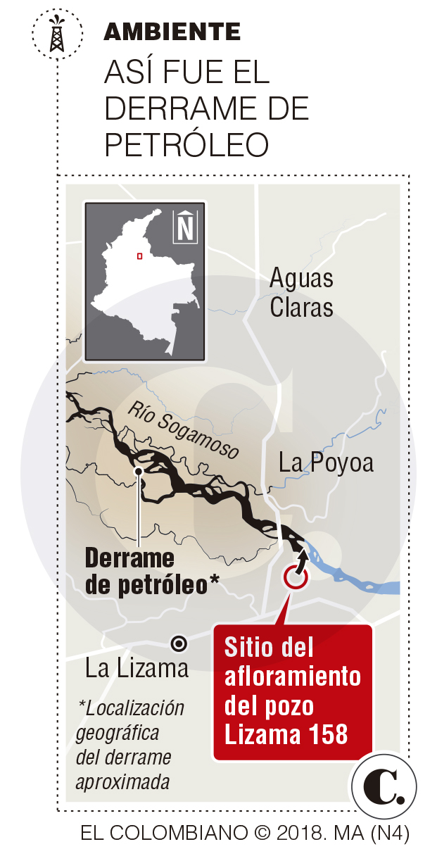 InfogrÃ¡fico