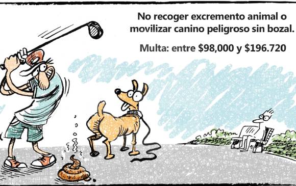 En tres semanas entrará en vigencia el Código de Policía