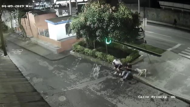Video | Hombre incitó a su perro pitbull a atacar a dos personas