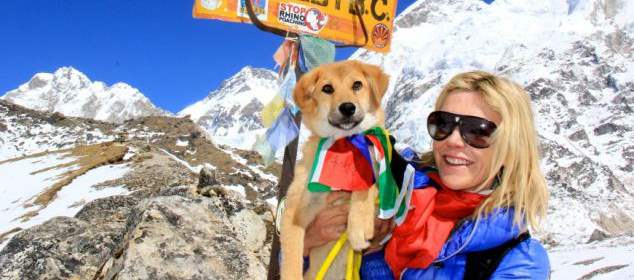 Rupee, el primer perro que sube hacia el Everest | Foto cortesía Caters News