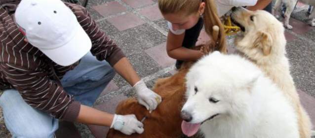 Foto Jaime Pérez Munévar