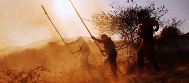 Alerta roja en municipios de Tolima por altas temperaturas | Las autoridades alertaron por el riesgo de incendios forestales.