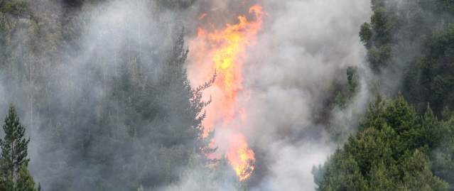 En 19 departamentos hay riesgo de incendios forestales | Dos incendios, uno en Cota, Cundinamarca (en la foto) y otro en Tona, Santander, estaban activos ayer. FOTO COLPRENSA