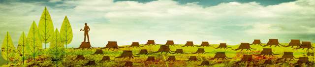 ILUSTRACIÓN MORPHART