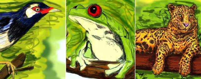 ILUSTRACIÓN MORPHART