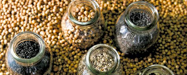 Semillas que tienen las llaves del bienestar