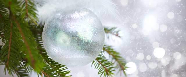 Decoración navideña de verano e invierno |