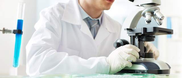 Investigadores tipo exportación |