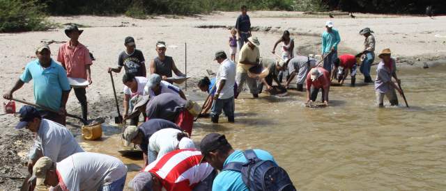 Minería ignora derechos de comunidades: Contraloría | A finales de 2012 se habían suscrito 9.400 títulos mineros en 5,6 millones de hectáreas. FOTO HERNÁN VANEGAS
