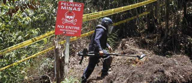 Minas antipersonal, tema urgente en diálogos de paz | Las minas antipersonal han dejado como víctimas a 6.503 militares. FOTO DONALDO ZULUAGA