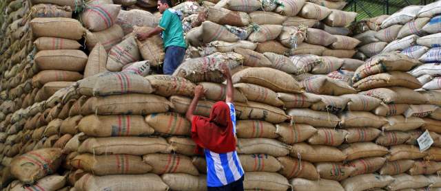 Cafeteros han recibido 620 mil millones de los programas de Protección