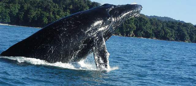FOTO COLPRENSA