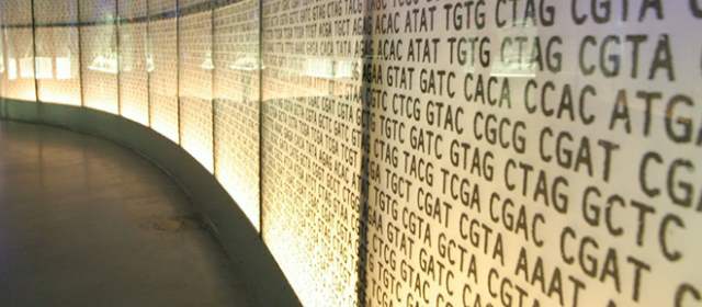 Escriben libro en ADN y le sacan millones de copias | Código genético escrito sobre una pared: con el ADN se almacena una gran cantidad de datos en mínimo espacio. FOTO CORTESÍA