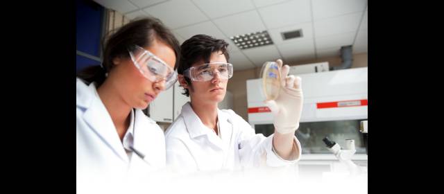 Laboratorios se clasifican por áreas |