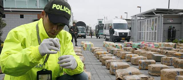 Decomisan más de una tonelada de marihuana en Palmira |