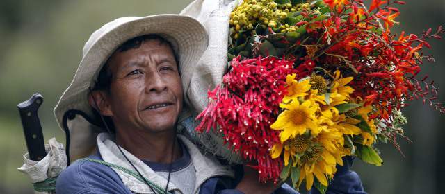 El alborozo sube a Santa Elena | Halagados y orgullosos. Así se sienten los silleteros al saber que esta noche, como anfitriones, pueden compartir sus conocimientos del legado que les dejaron sus ancestros. FOTO MANUEL SALDARRIAGA