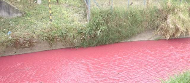 El hecho se presentó en la mañana del miércoles pasado y ha sido denunciado en las redes sociales | Foto Cortesía | El hecho se presentó en la mañana del miércoles pasado y ha sido denunciado en las redes sociales.