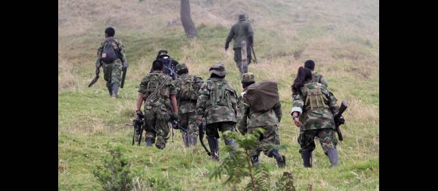 Bloque Iván Ríos, en riesgo de fallarle a un acuerdo | Farc se dividen militarmente en siete bloques. FOTO MANUEL SALDARRIAGA